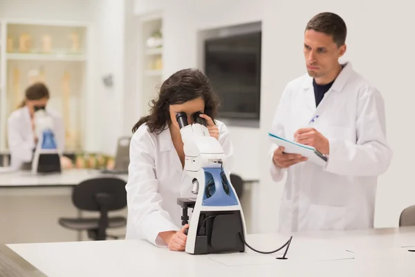 Estudantes de medicina trabalhando com microscópio — Fotografia de Stock