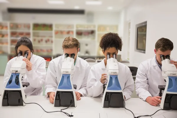 Medical students working with microscope — Stock Photo, Image