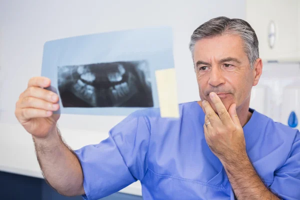 Dentista atencioso estudando raio-x atentamente — Fotografia de Stock