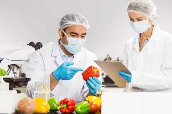 Food scientists examining a pepper — Stock Photo, Image