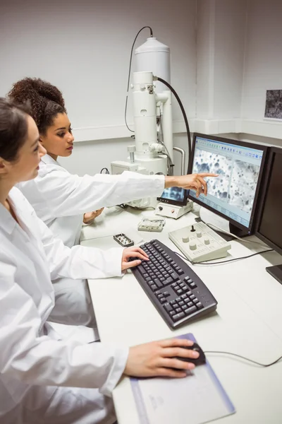 Science students looking at microscopic image on computer — Stock Photo, Image