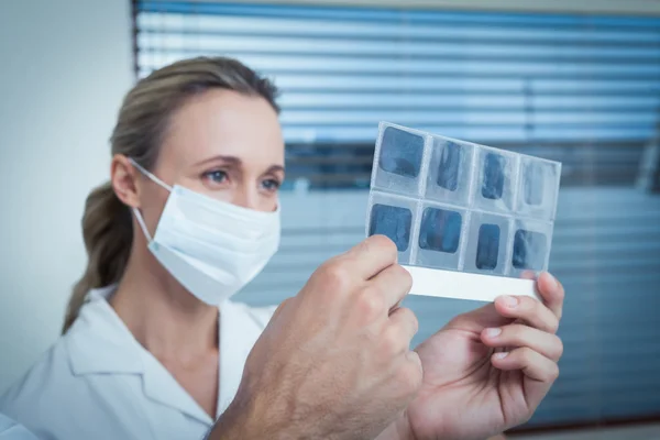 Dentista mirando rayos X — Foto de Stock