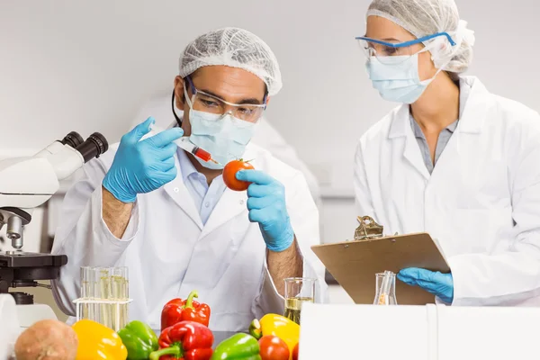 Cientista alimentar injetando um tomate — Fotografia de Stock