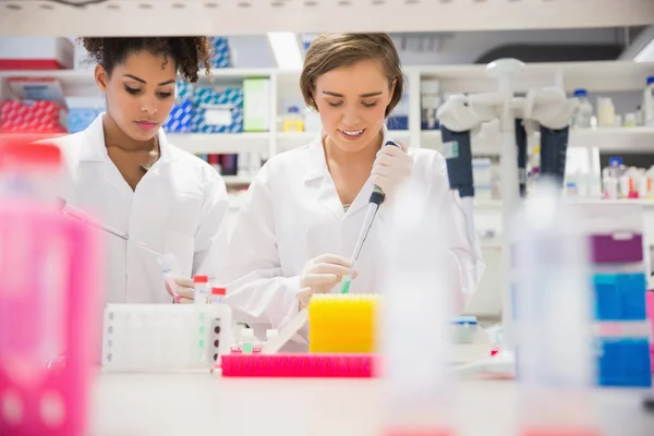 Jolis étudiants en sciences utilisant la pipette — Photo