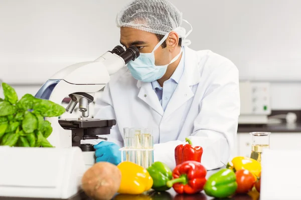 Cientista alimentar usando o microscópio — Fotografia de Stock