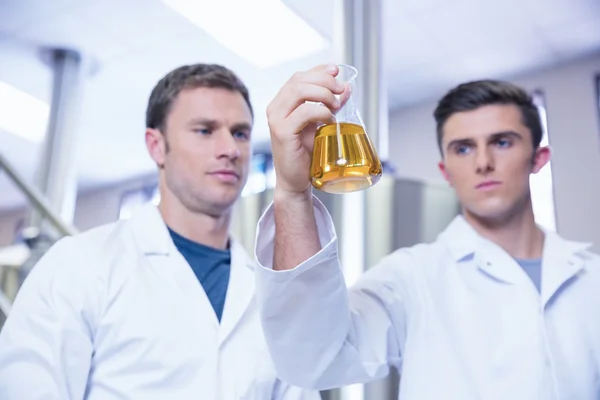 Dos hombres con bata de laboratorio mirando el vaso de precipitados con cerveza — Foto de Stock