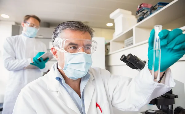 Team di scienziati che lavorano insieme — Foto Stock