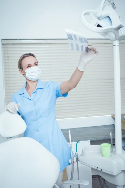 Female dentist looking at x-ray — Stock Photo, Image