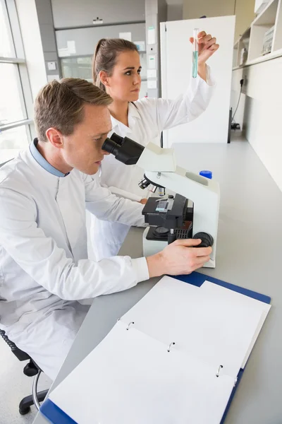 Young scientists working together — Stock Photo, Image