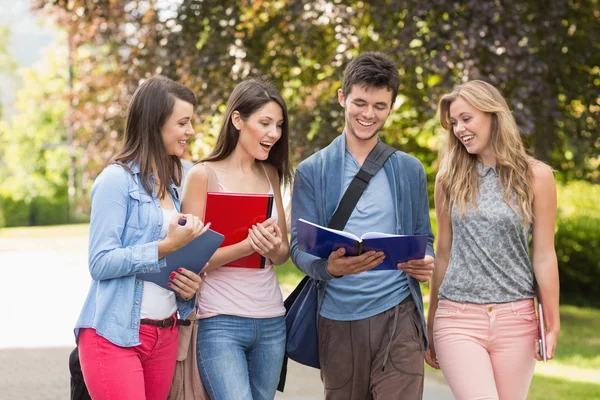 Glückliche Studenten, die draußen spazieren und plaudern — Stockfoto