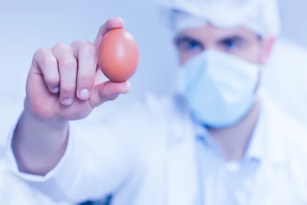 Food scientist looking at an egg — Stock Photo, Image