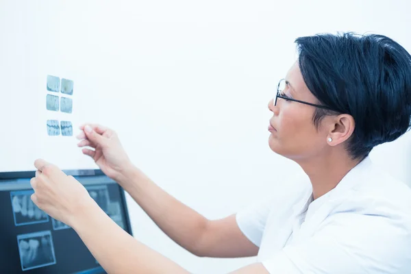 Concentrated female dentist looking at x-ray — Stock Photo, Image