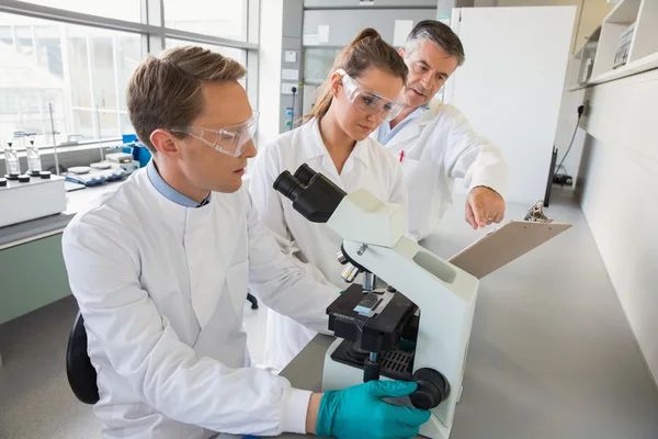 Team of scientists working together — Stock Photo, Image