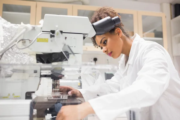 Estudante de ciências bonitas usando microscópio — Fotografia de Stock