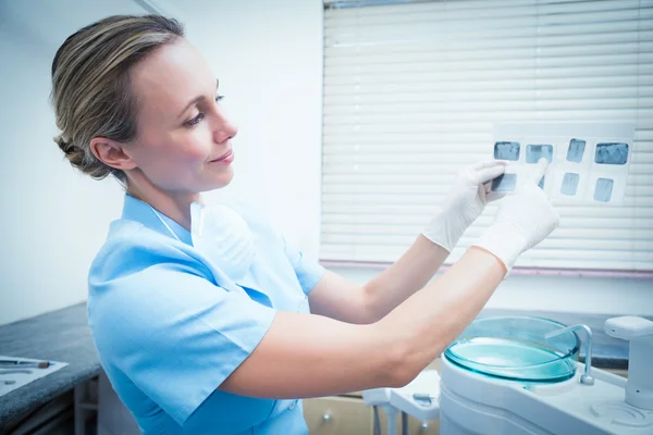 Dentista feminina concentrada a olhar para o raio-X — Fotografia de Stock