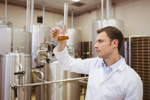 Cervecero enfocado examinando vaso de precipitados con cerveza — Foto de Stock