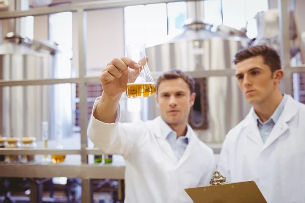 Focused scientist team looking at beaker — Stock Photo, Image