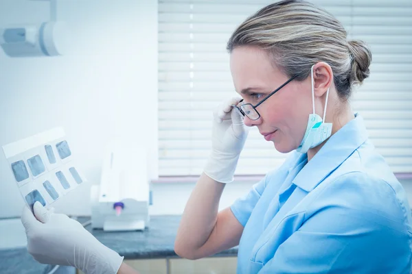Dentista femenina concentrada mirando rayos X — Foto de Stock