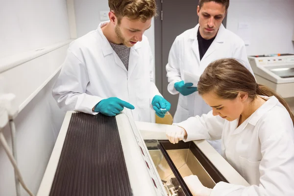 Estudiantes de ciencias usando incubadora en el laboratorio —  Fotos de Stock