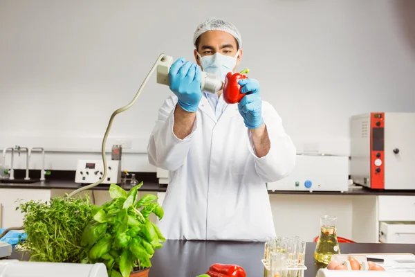 Cientista de alimentos usando o dispositivo na pimenta — Fotografia de Stock