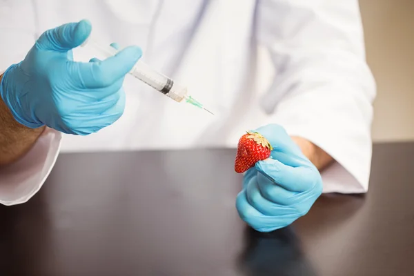 Food scientist injecting a strawberry — Stock Photo, Image