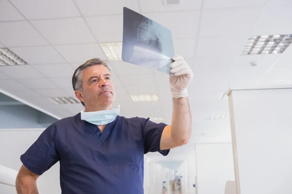 Bir x-ışını dikkatle inceleyerek diş hekimi — Stok fotoğraf