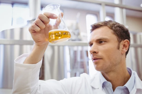 Científico enfocado examinando vaso de precipitados con cerveza — Foto de Stock