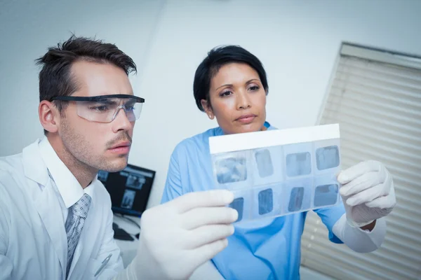 Dentists looking at x-ray — Stock Photo, Image