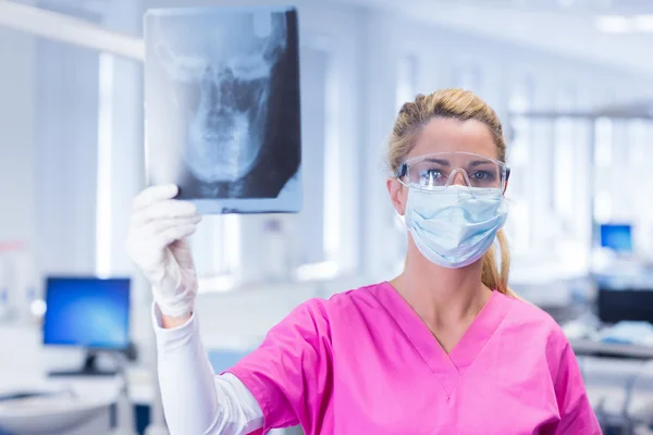 Zahnarzt mit einem Röntgenbild — Stockfoto