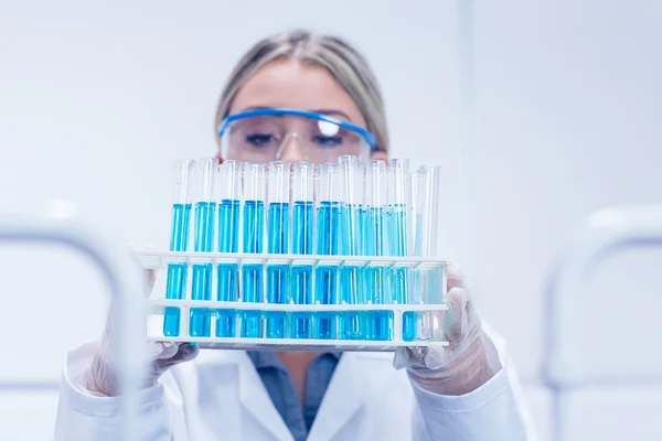 Science student holding tray of test tubes — Stock Photo, Image