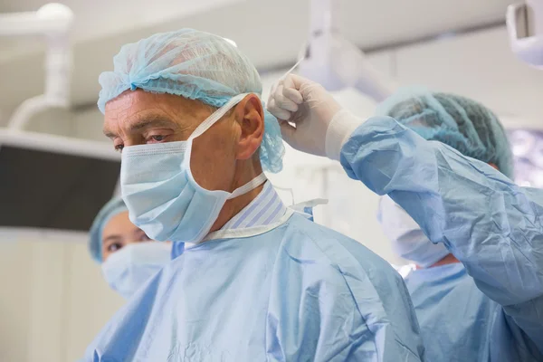 Medical student tying professors surgical mask — Stock Photo, Image