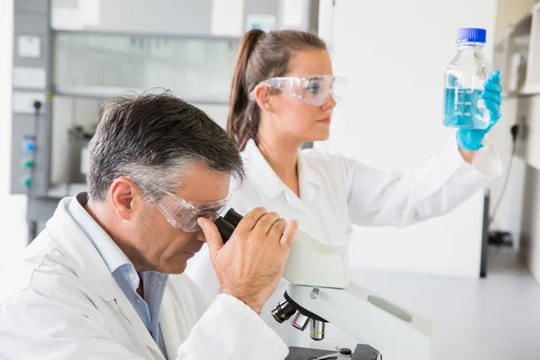 Equipo de científicos trabajando — Foto de Stock