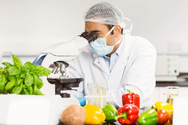 Food scientist using the microscope — Stock Photo, Image