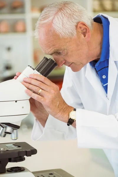 Senior scientist working with microscope — Stock Photo, Image