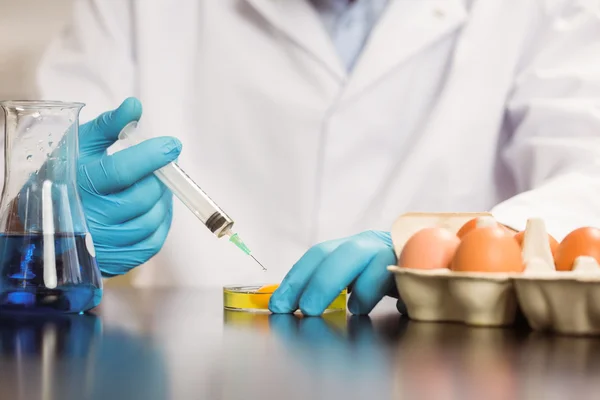 Food scientist injecting an egg yolk in petri dish — Stock Photo, Image