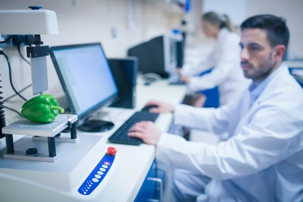 Food scientist using technology to analyse pepper — Stock Photo, Image