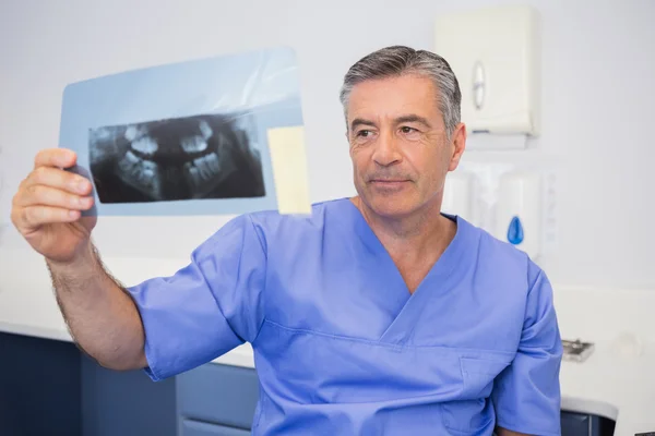 Dentista atencioso estudando raio-x atentamente — Fotografia de Stock