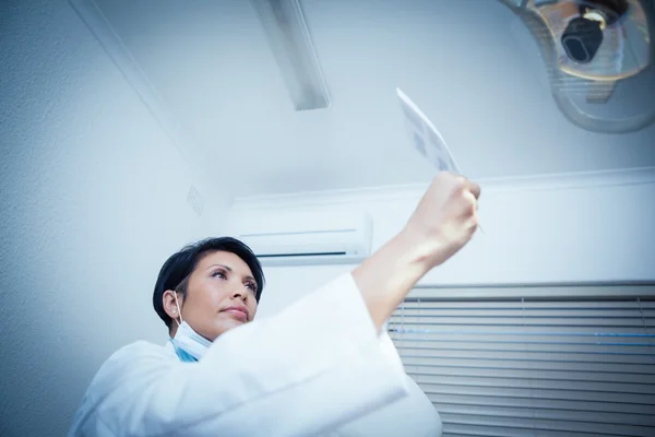 Dentista femenina concentrada mirando rayos X —  Fotos de Stock