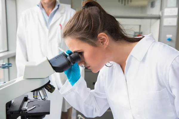 Team of scientists at work — Stock Photo, Image