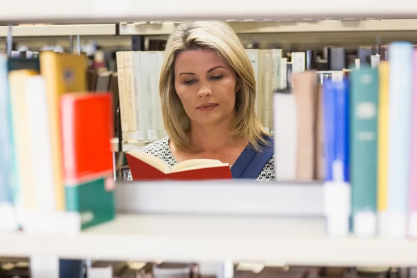 Volwassen student studeert in de bibliotheek — Stockfoto