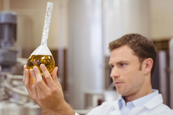 Scientifique concentré regardant bécher avec de la bière — Photo