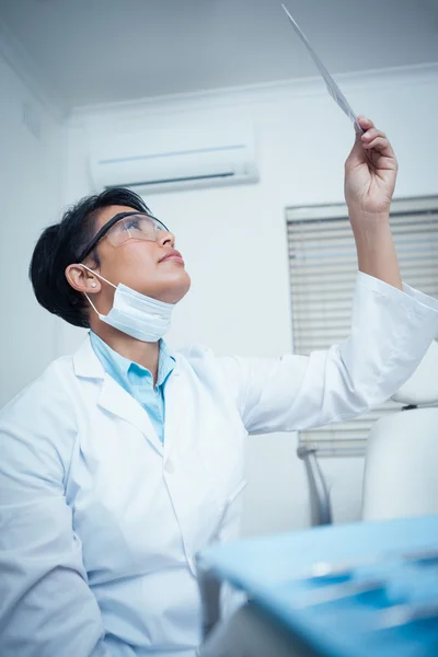 Concentrato giovane dentista femminile guardando i raggi X — Foto Stock