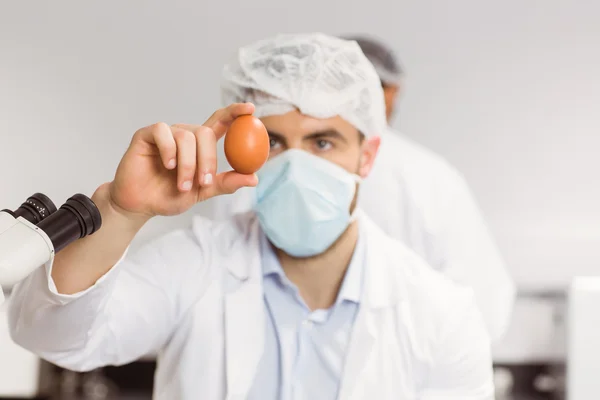 看着一个鸡蛋的食品科学家 — 图库照片