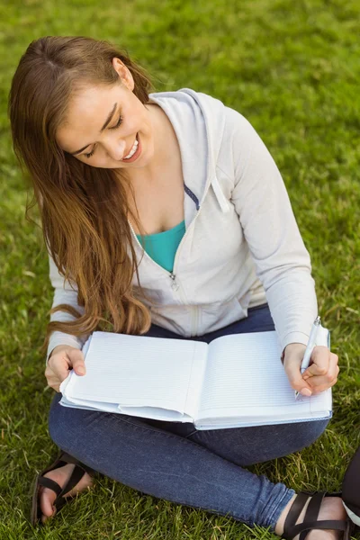 Estudante universitário sorrindo sentado e escrevendo no bloco de notas — Fotografia de Stock