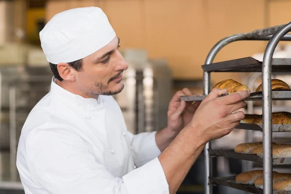 Baker checking freshly baked bread — Stock Photo, Image