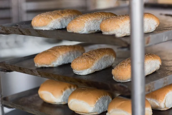 Bandeja de rollos en rack — Foto de Stock