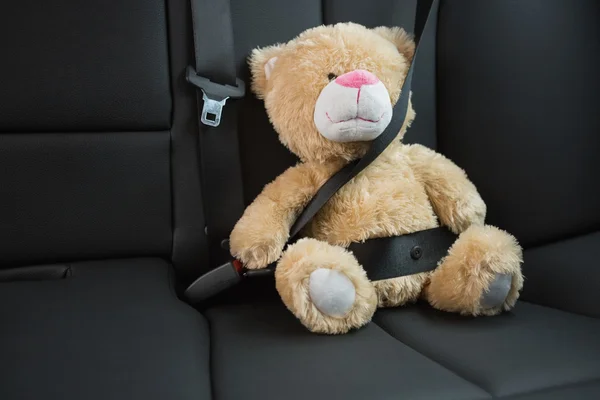 Teddy bear strapped in with seat belt — Stock Photo, Image