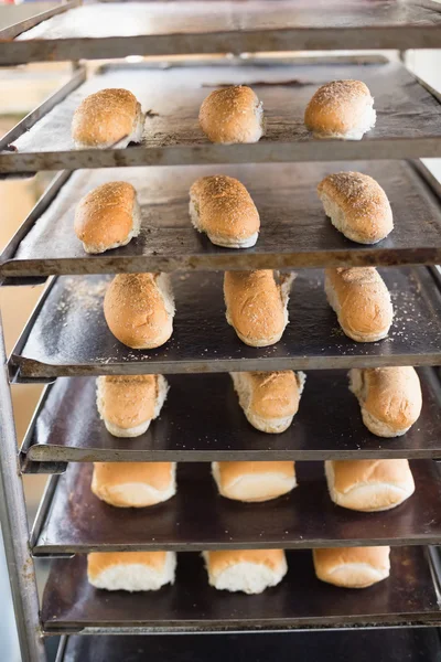 Rolos de pão em bandejas de prateleira — Fotografia de Stock