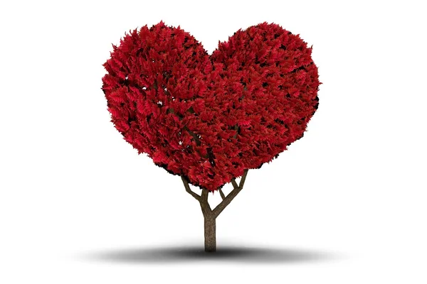 Love heart tree auf weiß — Stockfoto