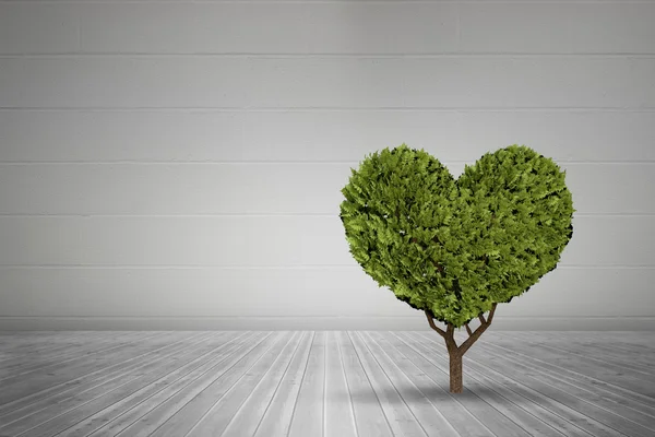 Planta en forma de corazón contra habitación gris — Foto de Stock